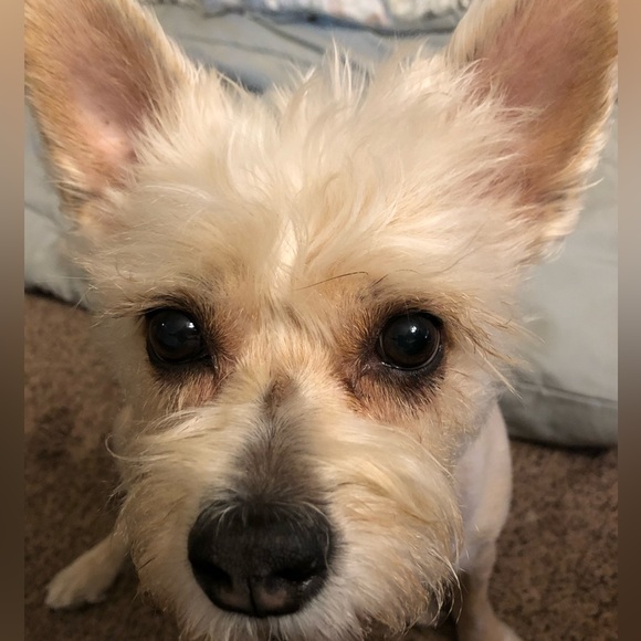 Meet your Posher, Kelly - Picture 5 of 6